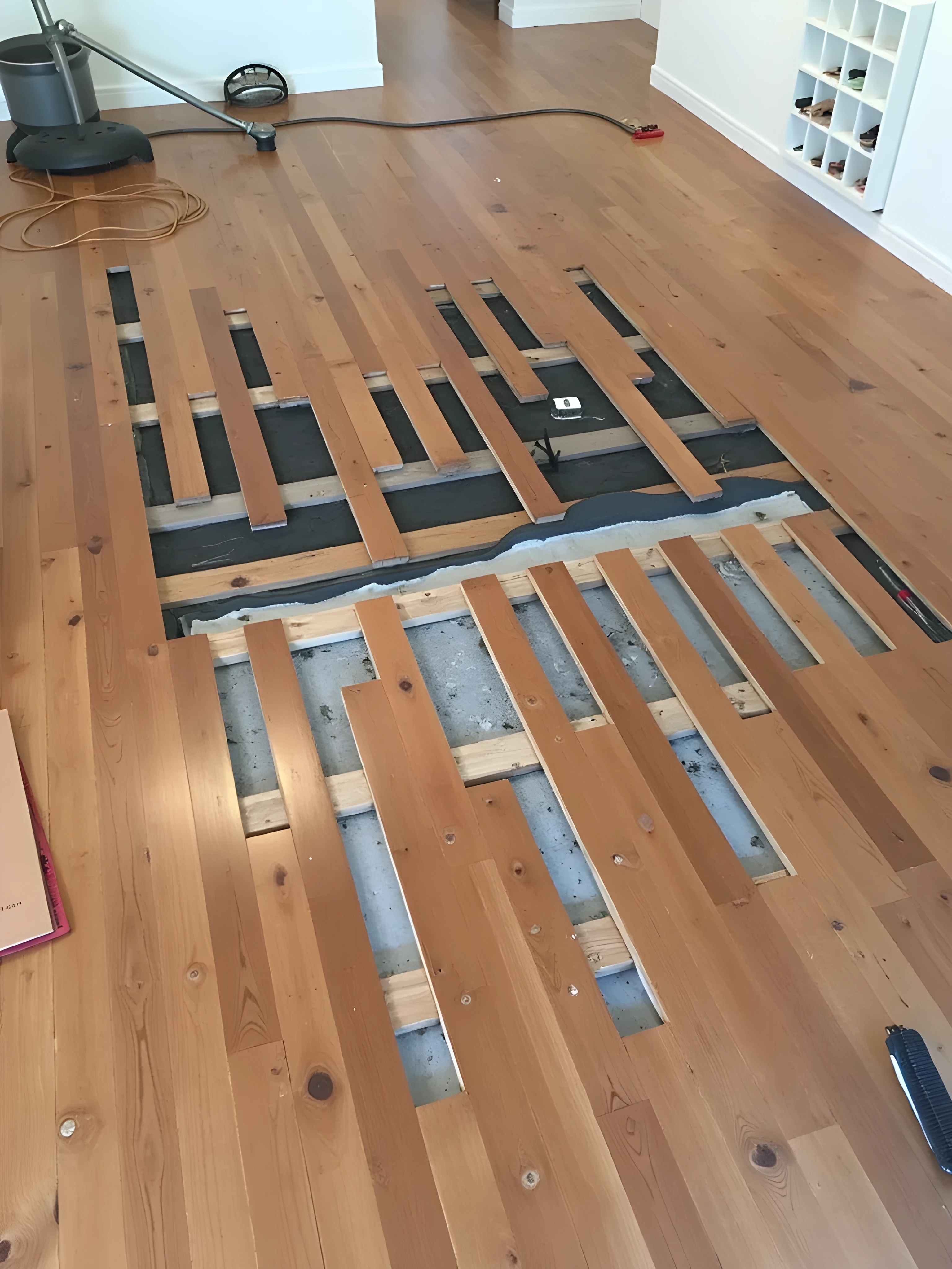 Cypress pine open plan